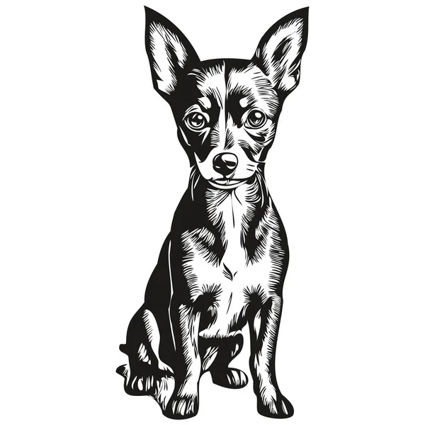 Miniatura Pinscher Cão Cabeça Linha Desenho Vetor Desenhado Mão Ilustração —  Vetores de Stock