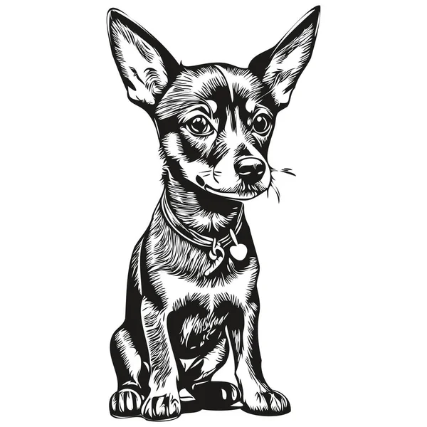 ミニチュアピンチャー犬インクスケッチ図面 ヴィンテージタトゥーやTシャツプリント黒と白のベクトル現実的なペットのシルエット — ストックベクタ