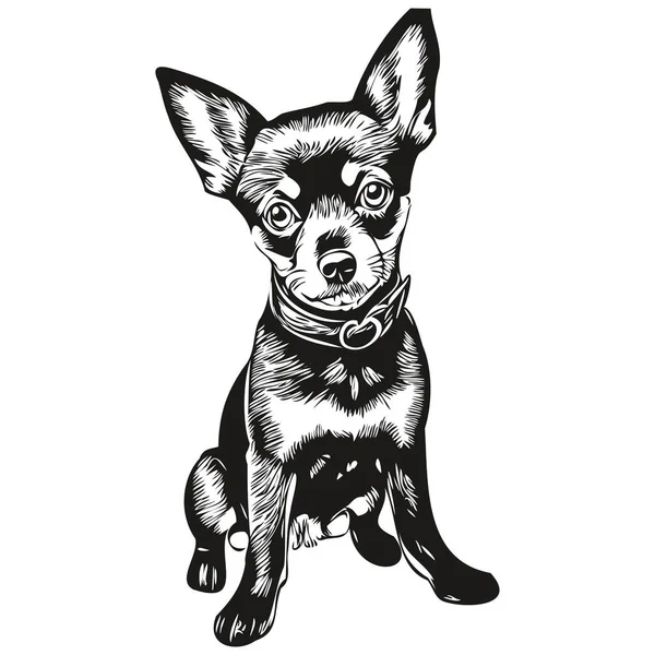 ミニチュアピンチャー犬のロゴベクトル黒と白 ヴィンテージかわいい犬の頭が現実的なペットのシルエットを刻ま — ストックベクタ
