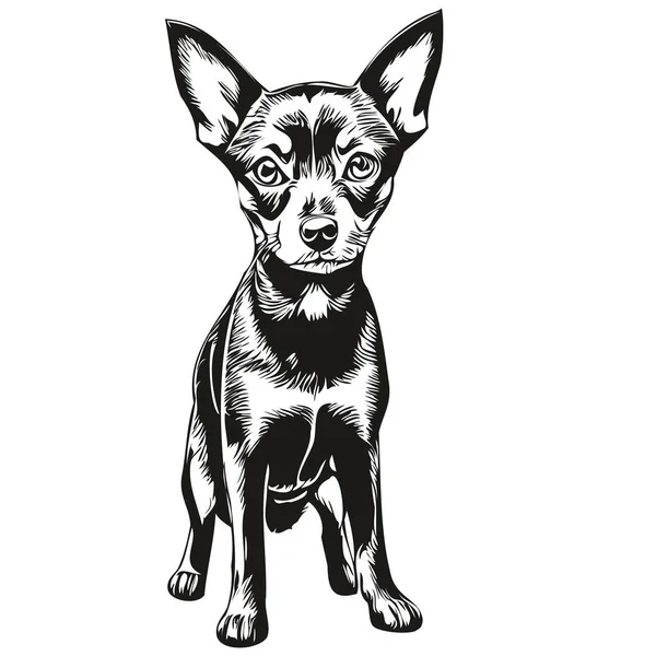 ミニチュアピンチャー犬のロゴベクトル黒と白 ヴィンテージかわいい犬の頭が現実的な品種のペットを刻ま — ストックベクタ