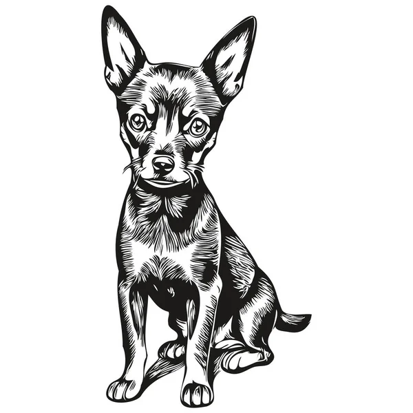 Миниатюрный Вектор Логотипа Собаки Пинчер Черно Белый Старинный Миленький Рисунок — стоковый вектор