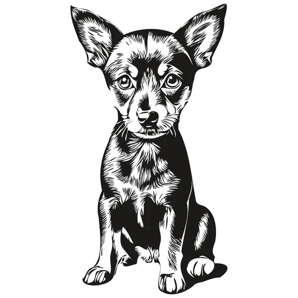 ミニチュアピンチャー犬鉛筆手描きベクトル アウトラインイラストペットの顔のロゴ黒と白の現実的なペットのシルエット — ストックベクタ