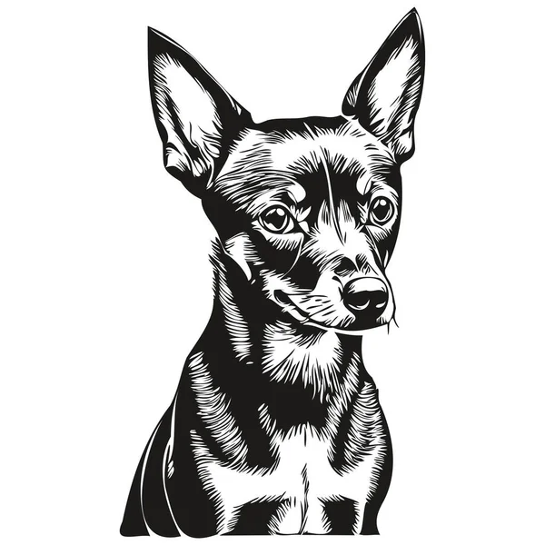 Miniature Pinscher Dog Pencil Hand Drawing Vector Outline Illustration Pet — Stock Vector