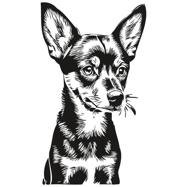 Miniatura Pinscher Perro Mascota Silueta Animal Línea Ilustración Dibujado Mano — Vector de stock