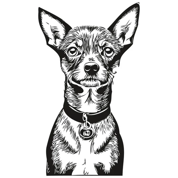 Miniatura Pinscher Cão Silhueta Pet Personagem Clip Arte Vetor Animais —  Vetores de Stock