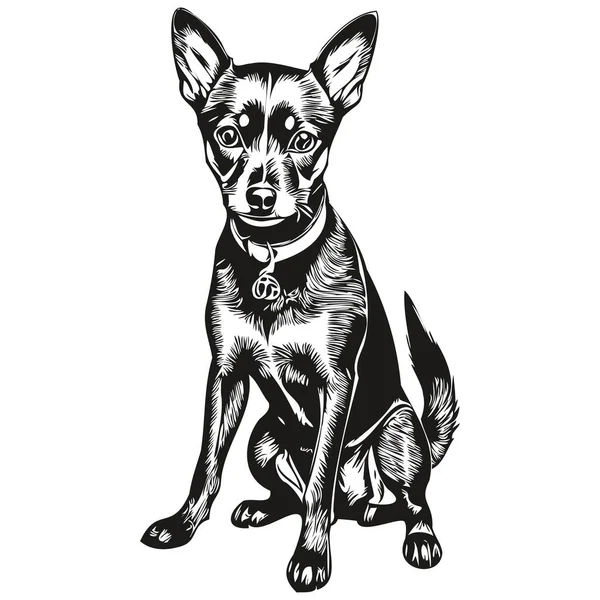 Миниатюрные Пинчер Собака Футболка Отпечаток Черно Белый Милый Забавный Контур — стоковый вектор