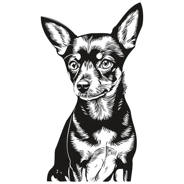 Миниатюрные Пинчер Собака Футболка Отпечаток Черно Белый Милый Смешной Контур — стоковый вектор