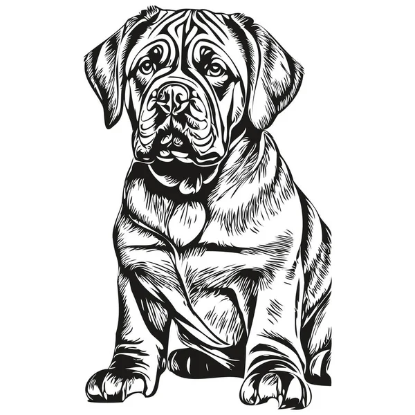 Neapolitan Mastiff狗黑色绘图矢量 孤立的人脸画素描线画图逼真的品种宠物 — 图库矢量图片