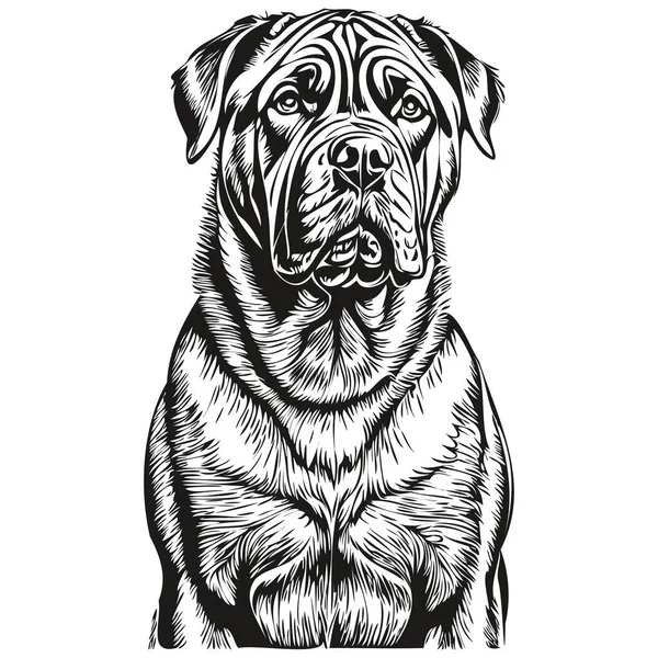 Neapolitan Mastiff狗繁殖线绘图 剪贴画动物手绘矢量黑白 — 图库矢量图片