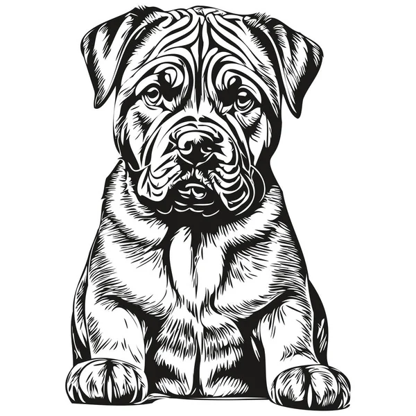 Neapolitan Mastiff Dog Black Drawing Vector Isolated Face Painting Sketch — Stock Vector