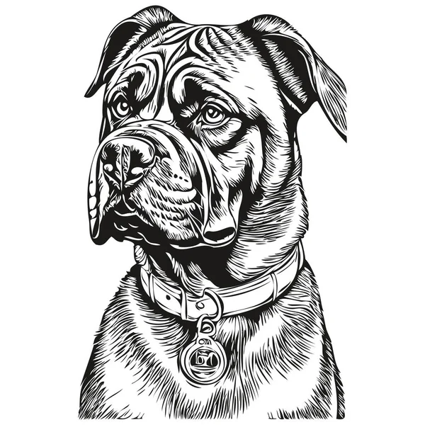 Neapolitan Mastiff Cão Raça Linha Desenho Clip Arte Animal Mão —  Vetores de Stock