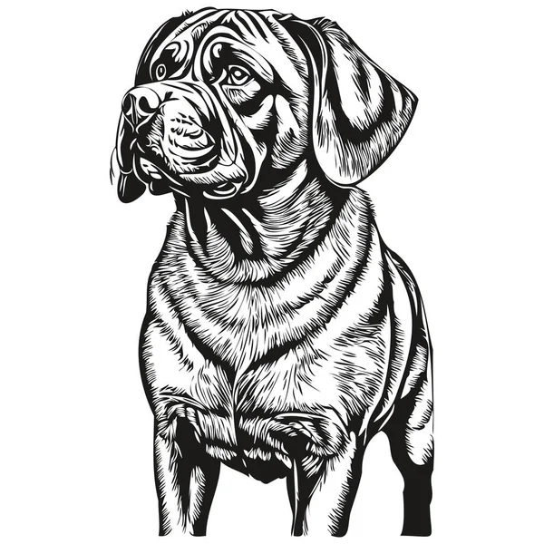 Neapolitan Mastiff狗卡通画脸谱 黑白素描 T恤打印逼真品种宠物 — 图库矢量图片