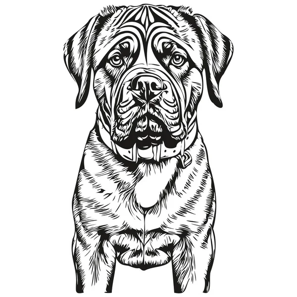 Napolitan Mastiff Σκυλί Κινουμένων Σχεδίων Πρόσωπο Μελάνι Πορτρέτο Ασπρόμαυρο Σκίτσο — Διανυσματικό Αρχείο