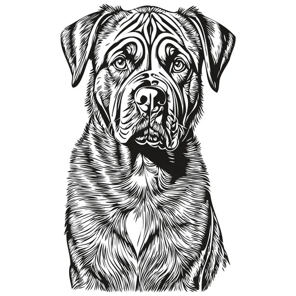 Ναπολιτάνος Mastiff Σκυλί Κινουμένων Σχεδίων Πρόσωπο Μελάνι Πορτρέτο Ασπρόμαυρο Σκίτσο — Διανυσματικό Αρχείο