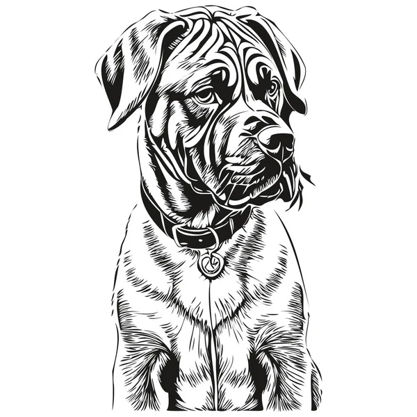 Neapolitan Mastiff Dog Face Vector Portrait Funny Outline Pet Illustration — Stock Vector