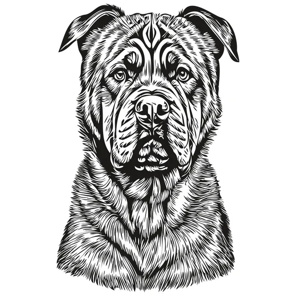 Neapolitan Mastiff狗面部矢量肖像 有趣的轮廓宠物图片白色背景现实的品种宠物 — 图库矢量图片