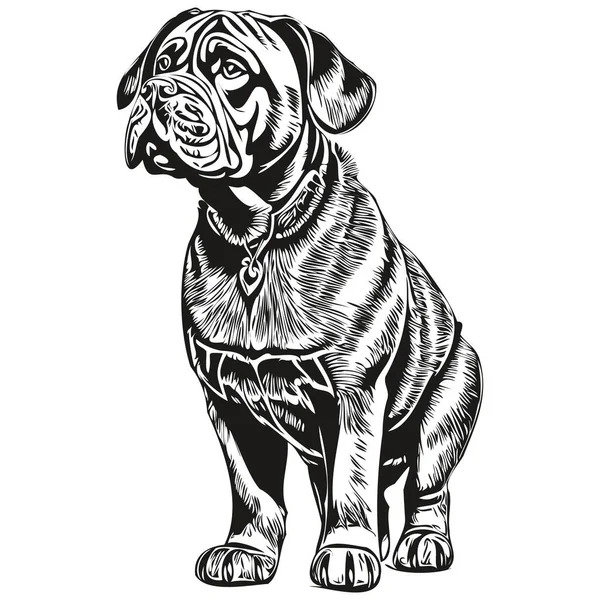 Neapolitan Mastiff狗手绘标志画黑白线条艺术宠物画图 — 图库矢量图片
