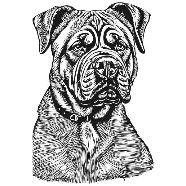 Neapolitan Mastiff Dog Hand Drawn Logo Drawing Black White Line — Stock Vector