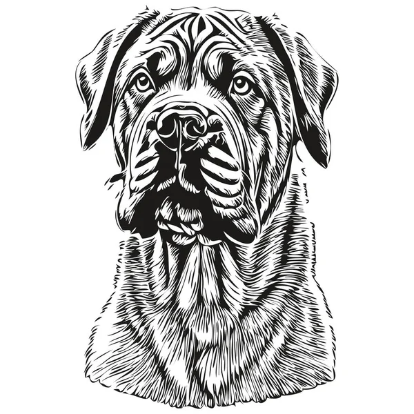Neapolitan Mastiff Cão Cabeça Linha Desenho Vetor Desenhado Mão Ilustração —  Vetores de Stock