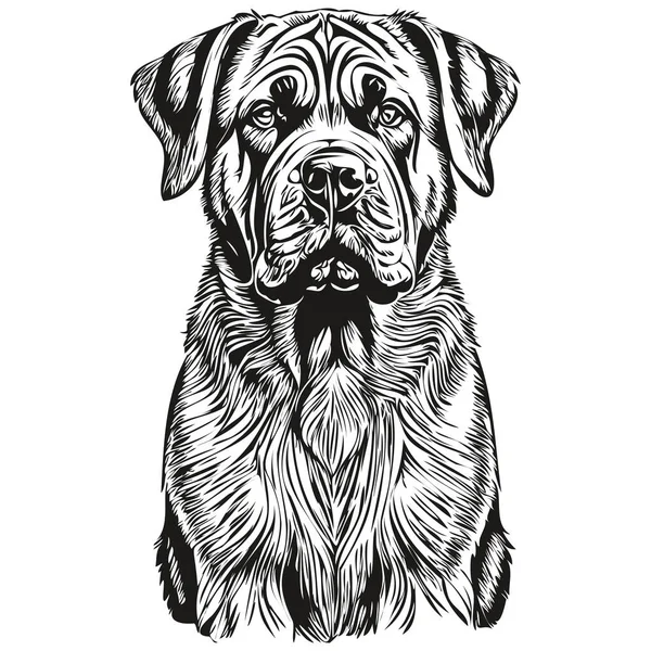 Neapolitan Mastiff Cão Isolado Desenho Fundo Branco Cabeça Pet Line — Vetor de Stock