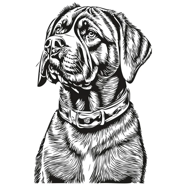 Неаполітанський Собака Мастіфф Ізольований Малюнок Білому Тлі Ілюстрація Лінії Головного — стоковий вектор