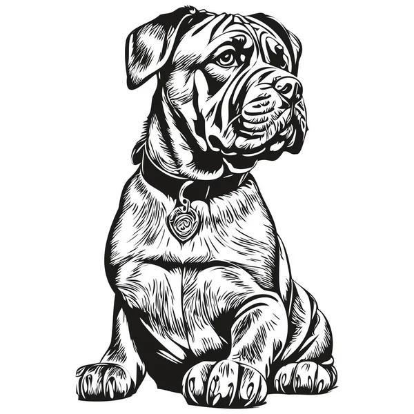 Neapolitan Mastiff狗线条图解 黑白墨水素描人像在病媒逼真品种宠物狗中 — 图库矢量图片