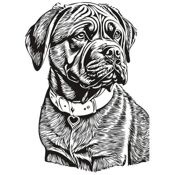 Neapolitan Mastiff Dog Line Illustration Black White Ink Sketch Face — Stock Vector