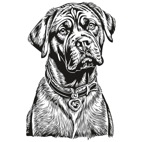 Neapolitan Mastiff Dog Line Illustration Retrato Rosto Esboço Tinta Preta — Vetor de Stock