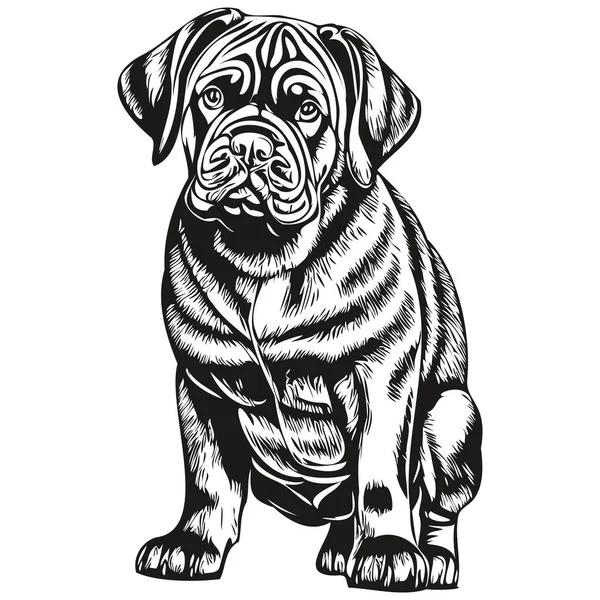 Neapolitan Mastiff Dog Outline Pencil Drawing Artwork Black Character White — Stock Vector