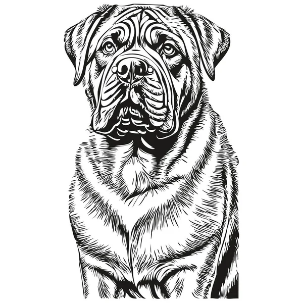 Neapolitan Mastiff狗轮廓铅笔绘图 白色背景草图上的黑色字符 — 图库矢量图片
