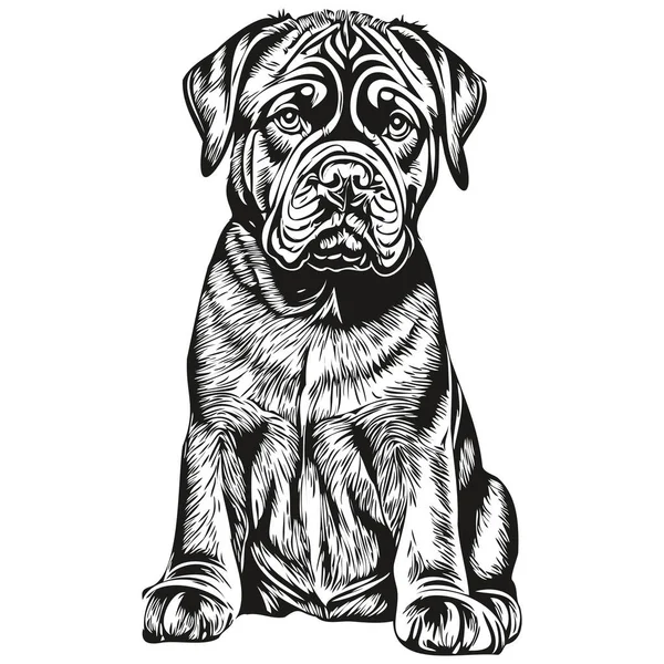 Neapolitan Mastiff Dog Logo Vector黑白相间 古色古香可爱的狗头雕刻草图 — 图库矢量图片