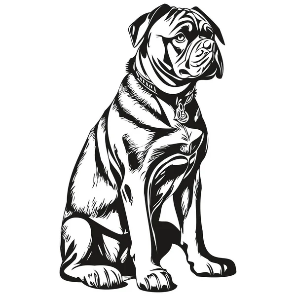 Napolitan Köpek Logosu Vektörü Siyah Beyaz Klasik Köpek Kafası Oymalı — Stok Vektör