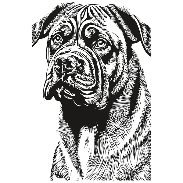 Neapolitan Mastiff狗标识向量黑白 老旧可爱的狗头雕刻现实的品种宠物 — 图库矢量图片