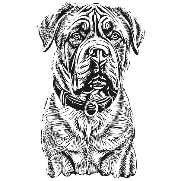 Chien Mastiff Napolitain Crayon Dessin Main Vecteur Contour Illustration Animal — Image vectorielle