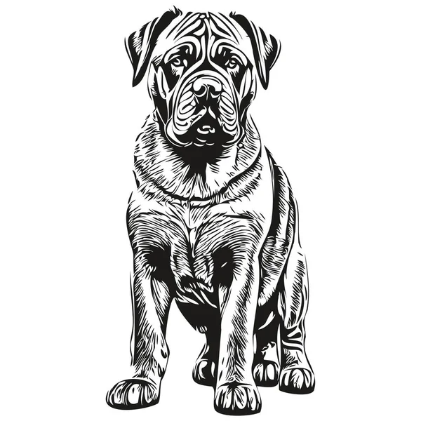 Neapolitan Mastiff狗狗铅笔手绘向量 勾勒宠物脸标识黑白逼真品种宠物 — 图库矢量图片