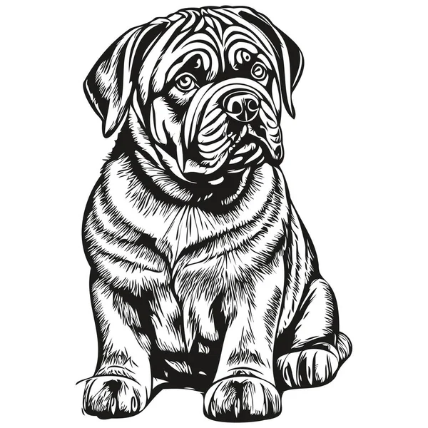 Mastiff Napolitano Mascota Silueta Animal Línea Ilustración Dibujado Mano Negro — Archivo Imágenes Vectoriales
