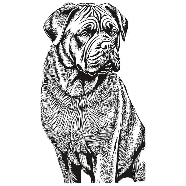 Neapolitan Mastiff狗狗宠物狗轮廓 动物线条插图手绘黑白矢量草图 — 图库矢量图片