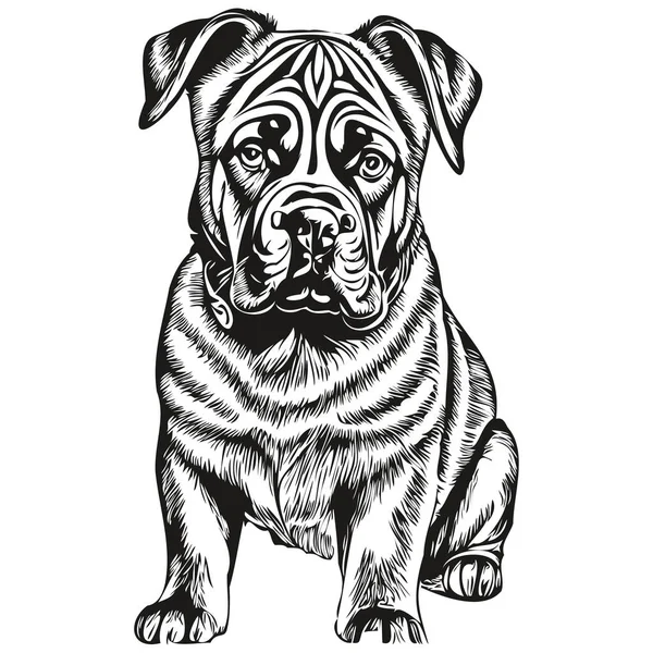 那不勒斯梅斯蒂夫宠物狗的人物形象 动物线条插图手绘黑白矢量 — 图库矢量图片
