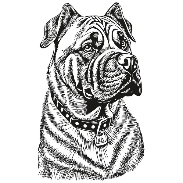 Neapolitan Mastiff狗宠物素描图解 黑白雕刻矢量逼真品种宠物 — 图库矢量图片
