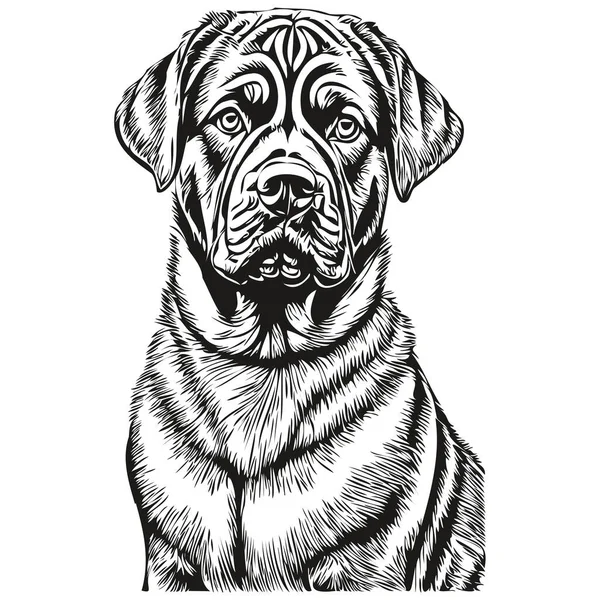 Neapolitan Mastiff Cão Pet Esboço Ilustração Vetor Gravura Preto Branco — Vetor de Stock