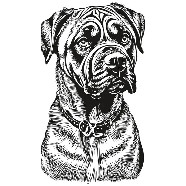 那不勒斯马什蒂夫犬矢量肖像 动物手绘纹身或T恤衫图解逼真品种宠物 — 图库矢量图片