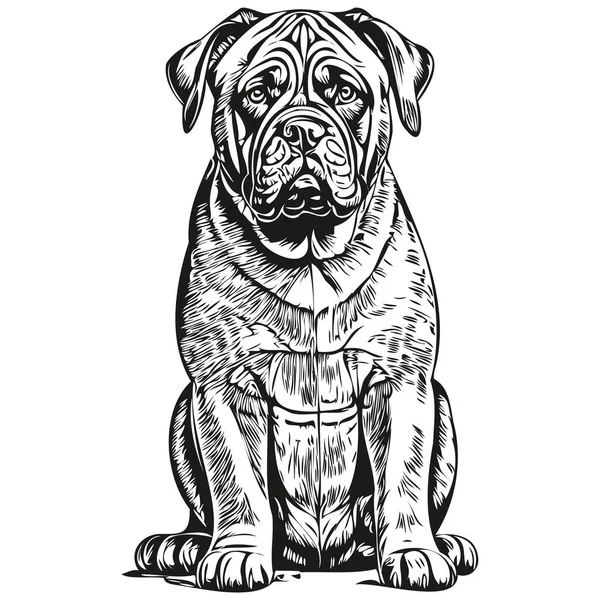 Неаполітанський Собака Mastiff Реалістичний Малюнок Олівцем Векторі Лінійне Мистецтво Ілюстрація — стоковий вектор