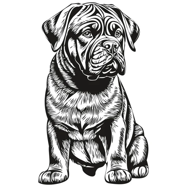 Neapolský Mastif Pes Realistické Pet Ilustrace Kreslení Rukou Tvář Černobílý — Stockový vektor