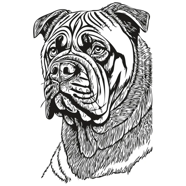 ナポリマスチフ犬シルエットペットキャラクター クリップアートベクトルペット黒と白の現実的な品種のペットを描く — ストックベクタ
