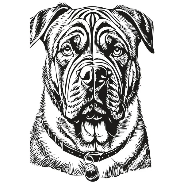 Neapolitan Mastiff Dog Realistic Pet Illustration Hand Drawing Face Black — Stock Vector
