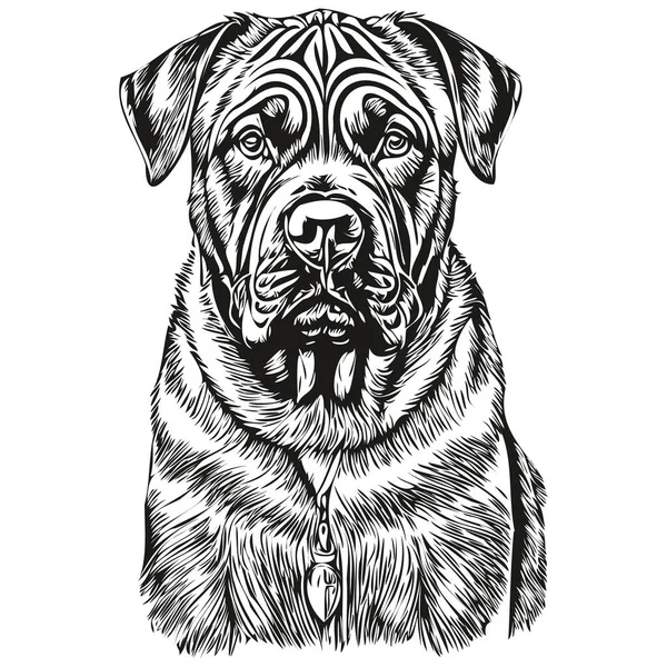 Neapolitan Mastiff Dog Shirt打印黑白照片 可爱有趣的轮廓画图矢量绘图 — 图库矢量图片