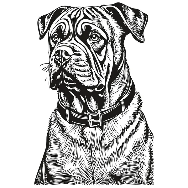 Shirt Napolitain Mastiff Pour Chien Imprimé Noir Blanc Vecteur Dessin — Image vectorielle
