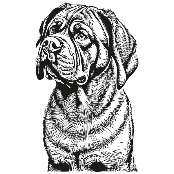 Неаполітанська Собака Мастіфф Векторний Малюнок Обличчя Портрет Ескіз Вінтажного Стилю — стоковий вектор