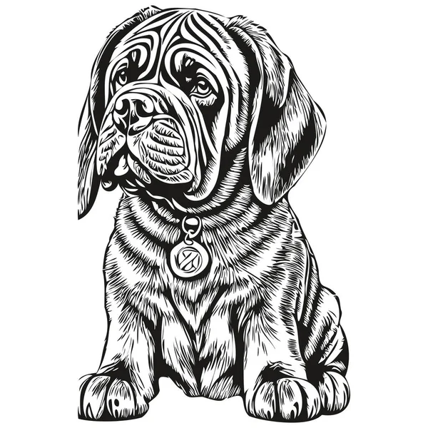 Neapolitański Mastiff Pies Wektor Grafika Ręcznie Rysowane Ołówek Zwierzę Linia — Wektor stockowy