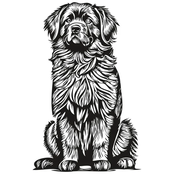 Newfoundland Cão Mão Desenhada Logotipo Desenho Preto Branco Linha Arte — Vetor de Stock